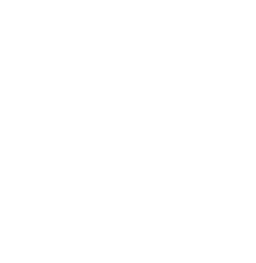 GMI Logo