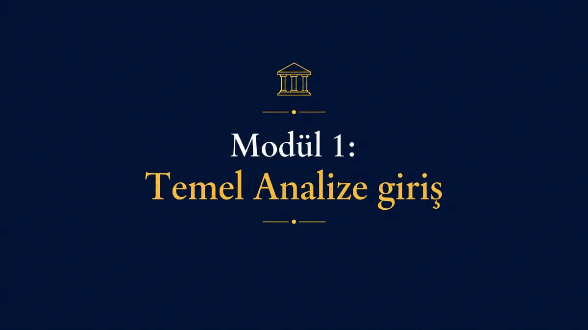 Modül 1: Temel Analize Giriş