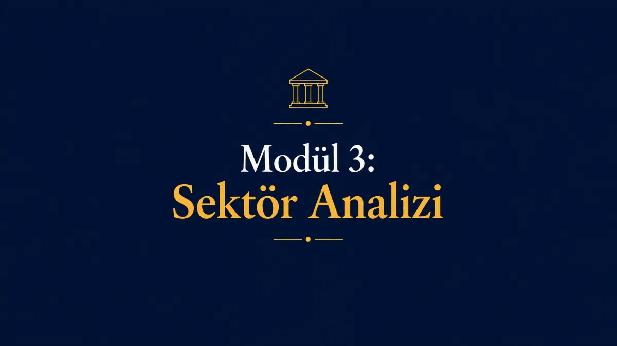 Modül 3: Sektör Analizi